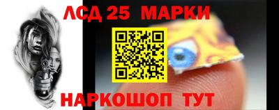 гидропоника Ставрополь