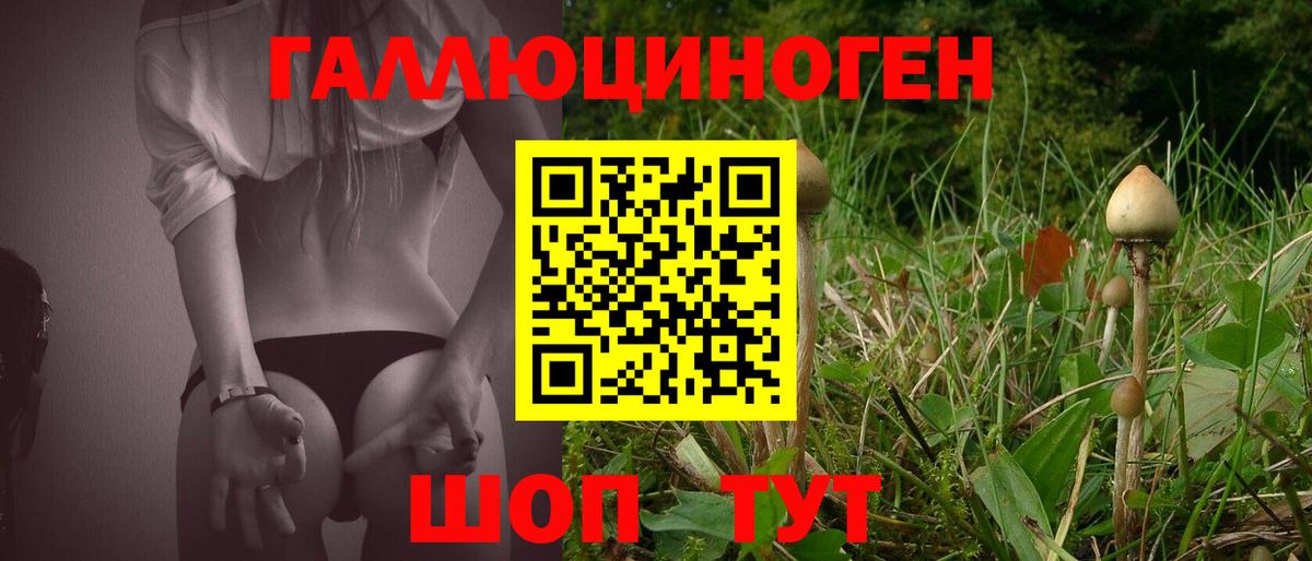 Нижневартовск  Галлюциногенные грибы Cubensis  Вход с VPN 